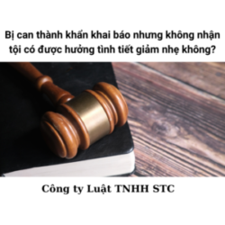 Bị can thành khẩn khai báo nhưng không nhận tội có được hưởng tình tiết giảm nhẹ không?